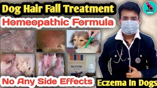 Dog Hair Fall Solution 💥 || Homeopathic Formula ⬇️ || 100 % Resulted || No Any Side Effect #hairfall