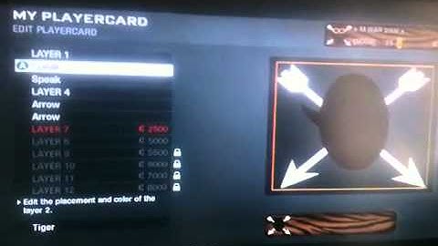 How to make ghost emblem on call of duty black ops