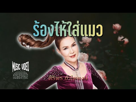 ร้องไห้ใส่แมว - ศิริพร อำไพพงษ์ [ MUSIC VDO & KARAOKE ]