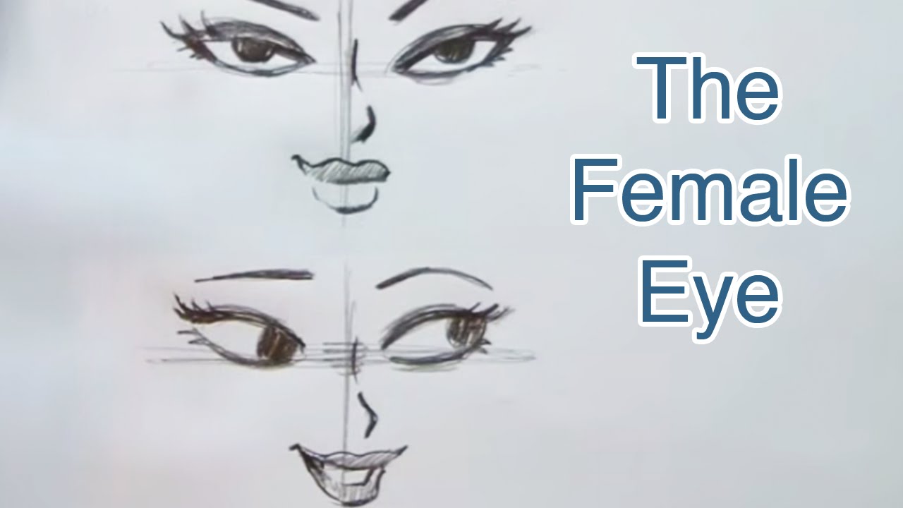 How to draw: Semi-Realistic Female Eyes…. #art #artist #eyes #eyedrawi... |  TikTok