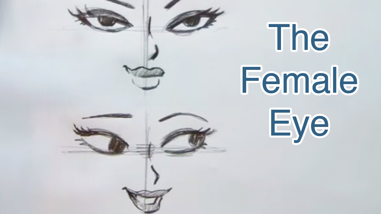 Draw Anime Eyes (Females): How to Draw Manga Girl Eyes Drawing Tutorials -  How to Draw Step by Step Drawing Tutorials