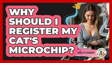 Why Should I Register My Cat