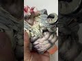 Painting predator skin part2