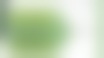 PRELIMINARY ESTIMATING METHOD POLIPD