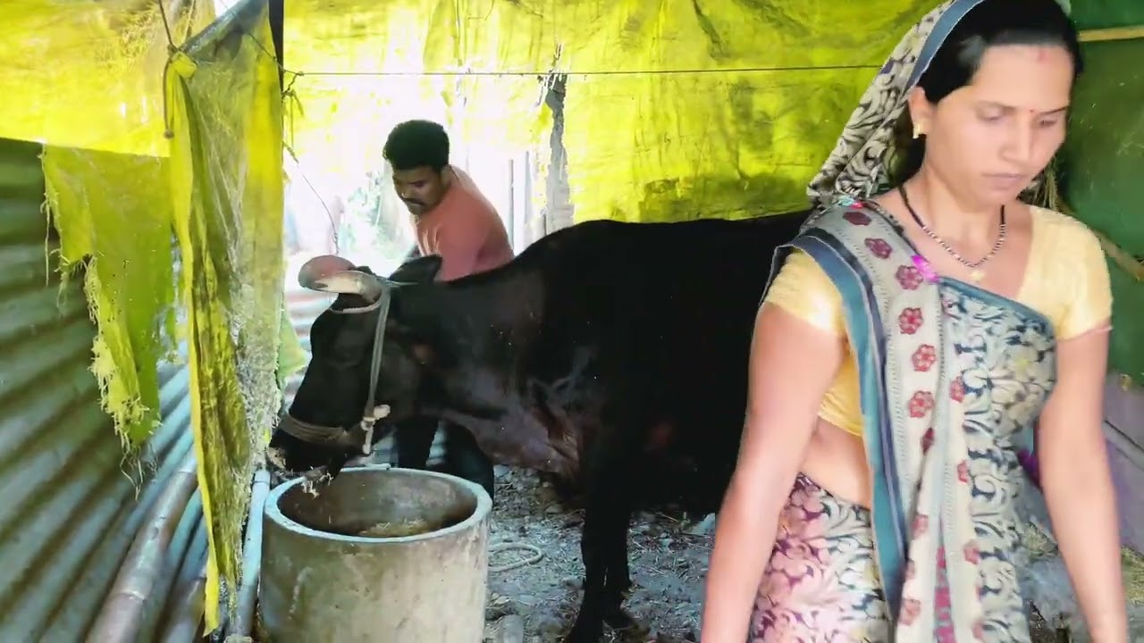 किसान कि पत्नी ने करदिया किसान को बेहोश 🤪🤓