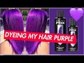 Dyeing My Hair Purple With Artic Fox Purple Rain