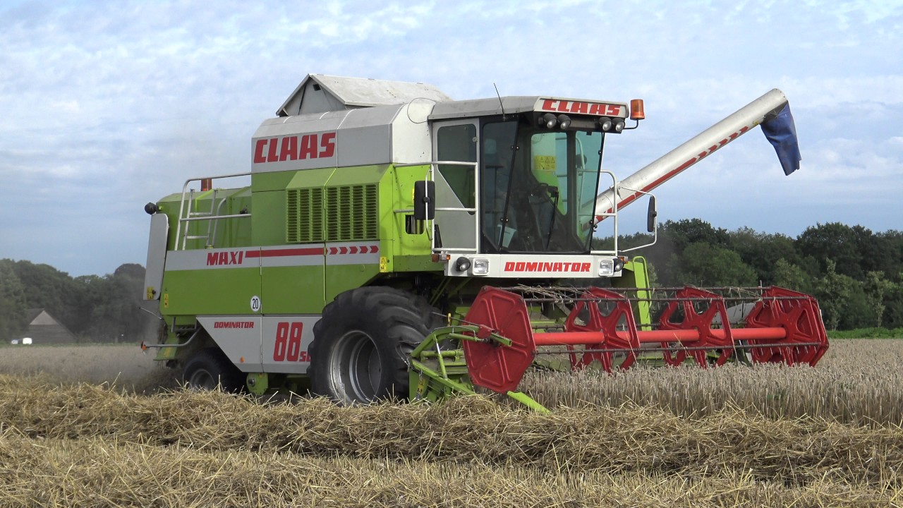 CLAAS DOMINATOR 88 SL MAXI & WINTER TARWE MAAIEN