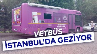 VETBÜS İSTANBUL'DA GEZİYOR