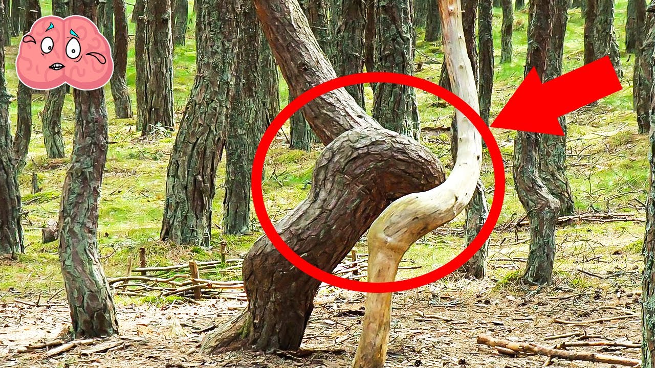 Mysterious Phenomena Science Can’t Explain - YouTube