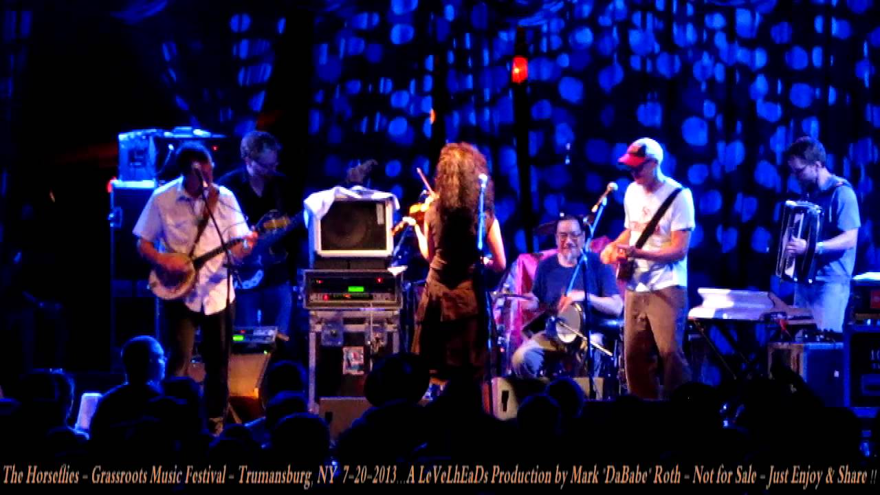 The Horseflies   Grassroots Music Festival   Trumansburg, NY  7 20 2013