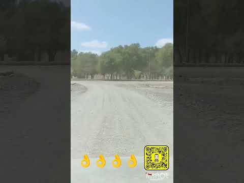 كلام من ذهب ترندتيكتوك هاشتاقات تصويري ترندات لايك تيكتوك تابعوني ترند 