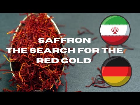 Video: Saffron Pob Ntseg