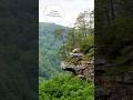 📌 Ecology:Ecological Succession Stages | Pioneer to Climax Community | CSIR NET🎯 #lifescience