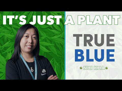 True Blue: Nhi Kha