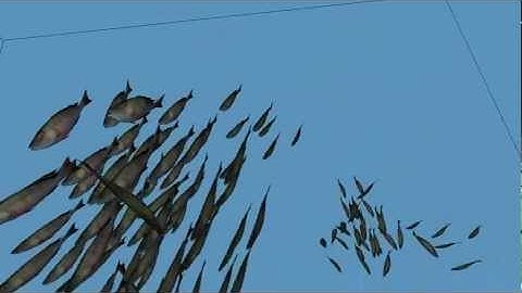Collective Animal Behavior / C++ / OpenGL
