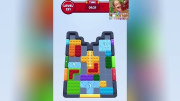 Color Block Jam Level 231