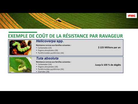 Vidéo: Les Procédures D'élevage Des Mouches Des Olives Affectent La Transmission Verticale Du Symbiote Bactérien Candidatus Erwinia Dacicola