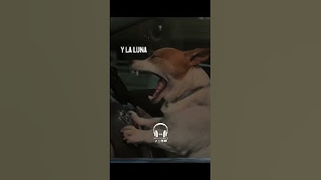 Thumbnail of La carretera - Prince Royce