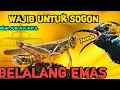 MASTERAN SOGON SUARA BELALANG EMAS