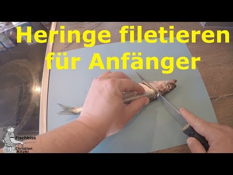 Video: Wie Filetiert Man Einen Hering