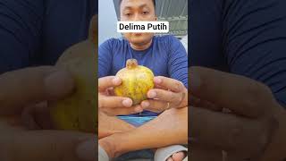 Delima Putih