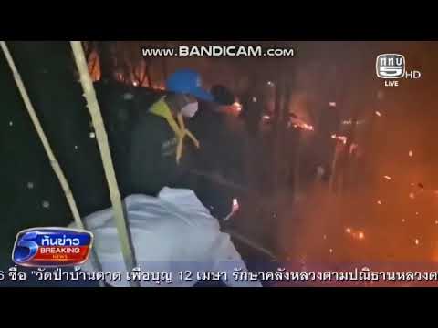 ฉก.ไชยานุภาพ เร่งดับไฟป่าเชียงดาว
