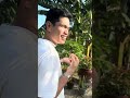 BUMILI AKO NG 8 HECTARES NA FARM #berniecularvlogs