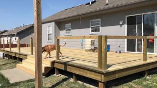 I built this deck over the course of 6 weekends. Technically I just re-decked it, replaced all the railings, and built a gate. I used a 