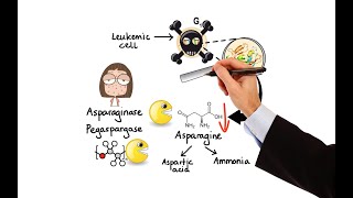 Pharmacology - CANCER DRUGS - HORMONAL THERAPY (MADE EASY)