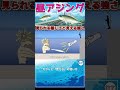 【昼アジング】カラーと「見える」の使い方