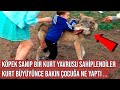 Köpek Sanıp Bir Kurt Sahiplendiler, Sonra Başlarına Öyle Bir Şey Geldi ki