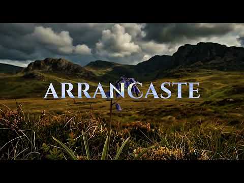 Jeremías 29:11 – El Plan Ya Estaba Escrito by Diego Armado 