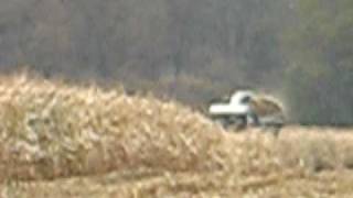 Angelrose Dairy-Corn Silage Harvest 2009