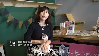 幸福狗狗園介紹攜手努力讓毛孩不再流浪xMy ZOO動物緣