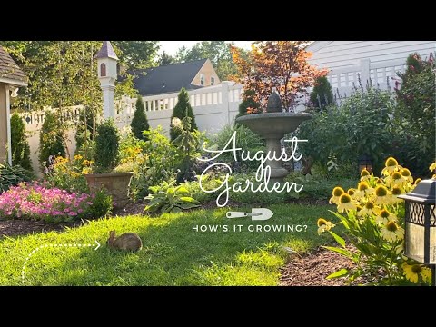 August