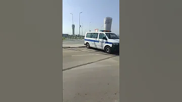 حبيبي كم تو الجزائر 
