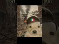 toca ir por las tortillas como sea 🤣👌 #mexico #guerra #moments #parati #gracioso #memes #dog #real