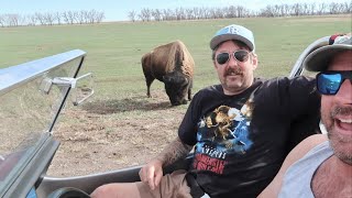 Traveling To Colorado (Where Buffalo Roam) On United Air - Flight Experience & Animal Interactions