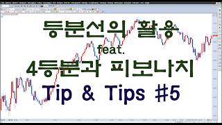 핑크캣의 주식강의실 등분선을 이용하자 Tip & Tips #5