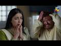Karma Hit Back???Malik Bilal Apne Hi Ghar Se Beghar... Daam-e-Mohabbat - HUM TV