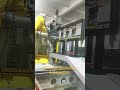 High Efficiency &amp; Long Service Life  #hydraulic #machine #hydraulicpump  #factorydirect  #cnc
