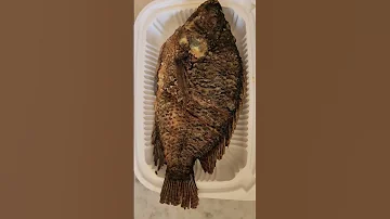 Fish Globalvillagertf Fish 
