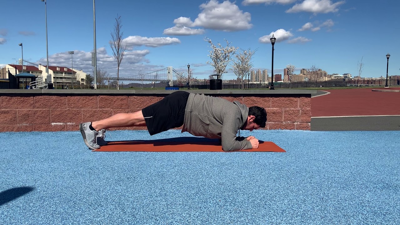 PLANK w SINGLE LEG RAISE - YouTube