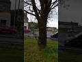 Saint Ninians Roundabout Stirling Scotland UK