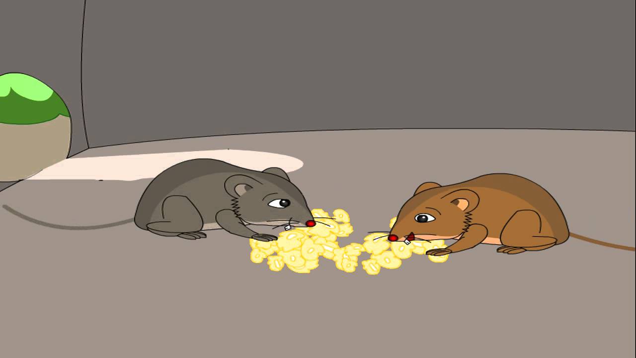 Mouse story. Tale of two Mice. Two Mice Run gif cartoon. Nature: the Mice with two dads.
