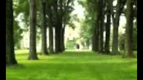 سورة الرحمن - الشيخ مشاري العفاسي.mp4