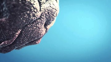 Organic Sphere (VCP Element 3D)