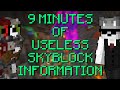 9 Minutes of USELESS Hypixel Skyblock Information - [Hypixel Skyblock]