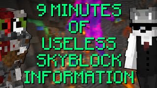 9 minutes of Useless Hypixel Skyblock Information
