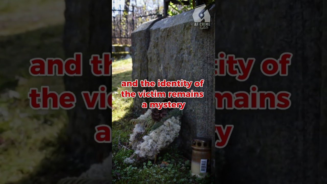 Top 3 Most Intriguing Unsolved Murders of All Time #truecrimeunsolved
